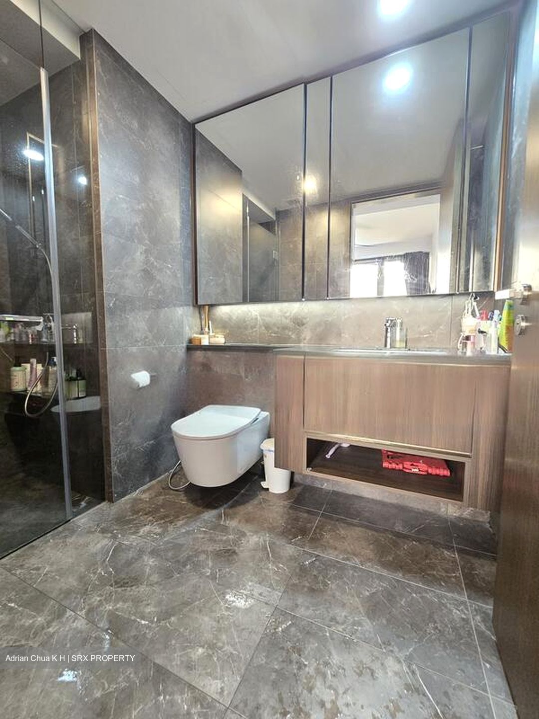 Kopar At Newton (D9), Apartment #467616581